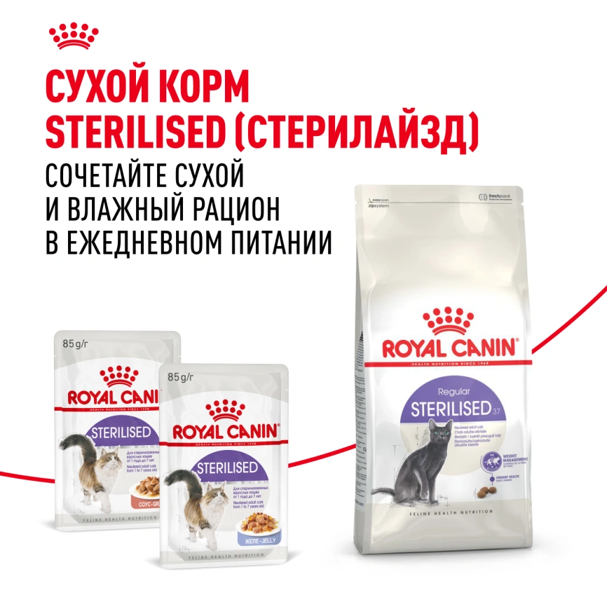 Влажный корм Royal Canin Sterilised в желе для стерилизованных кошек старше 1 года, пауч, 85 г фото 17