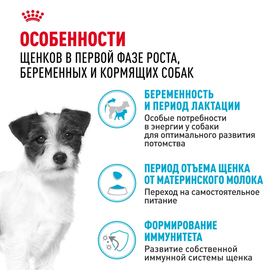 Сухой корм Royal Canin Mini Starter Mother & Babydog для щенков и кормящих сук, 3 кг фото 2