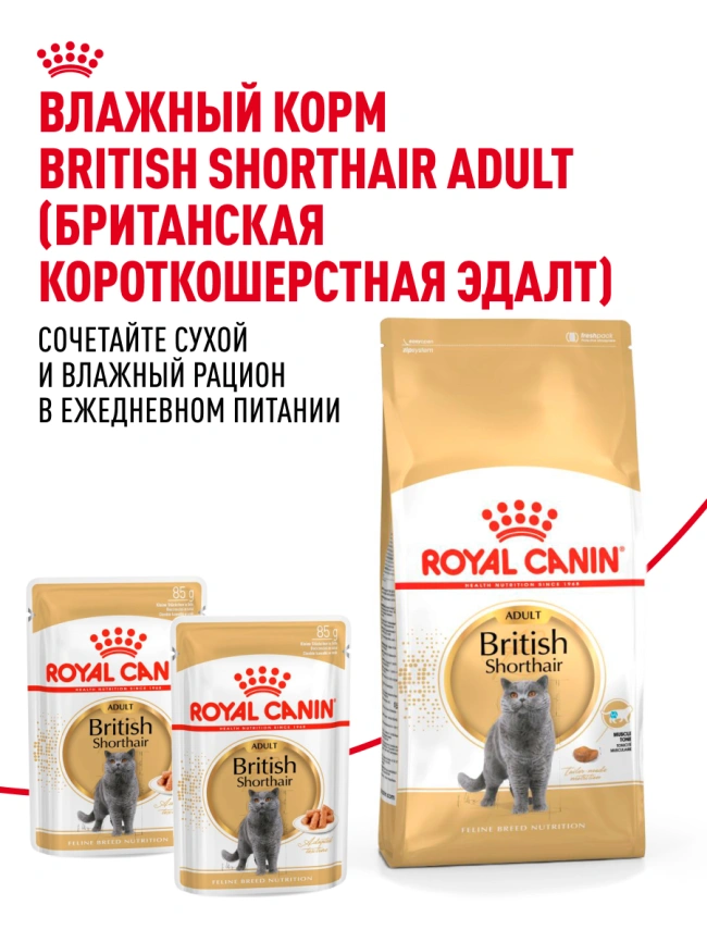 Сухой корм Royal Canin British Shorthair для кошек породы британская короткошерстная, 10 кг фото 28