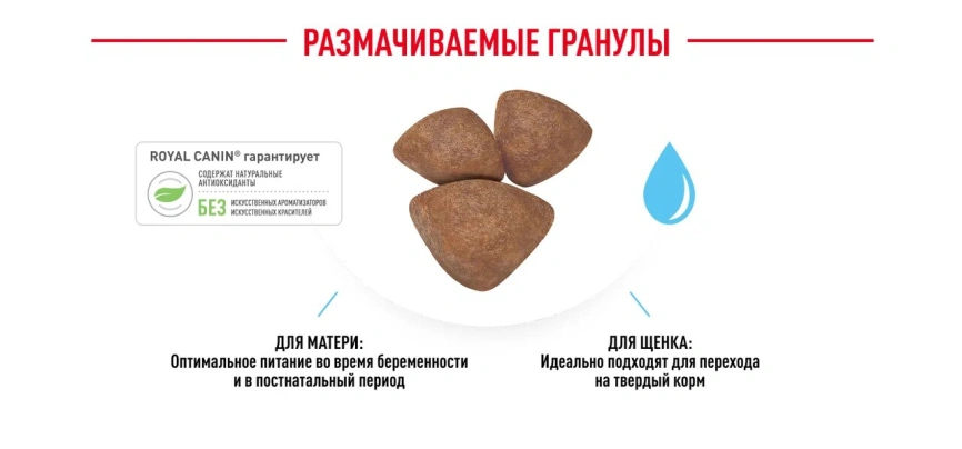 Сухой корм Royal Canin Mini Starter Mother & Babydog для щенков и кормящих сук, 3 кг фото 16