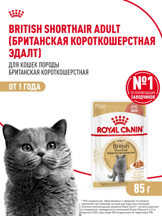 Влажный корм Royal Canin British Shorthair в соусе для кошек породы британская короткошерстная и шотландская вислоухая старше 1 года, пауч, 85 г фото 16