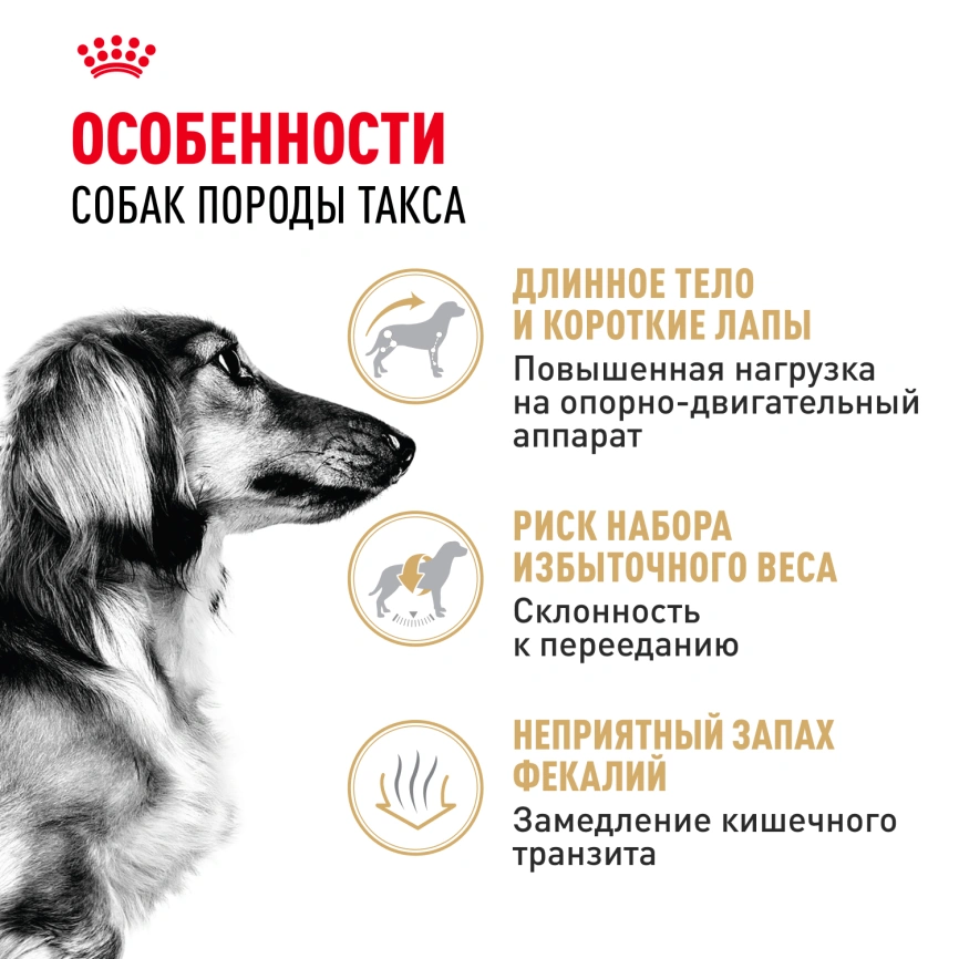 Сухой корм Royal Canin Dachshund Adult для собак породы такса, 1,5 кг фото 2