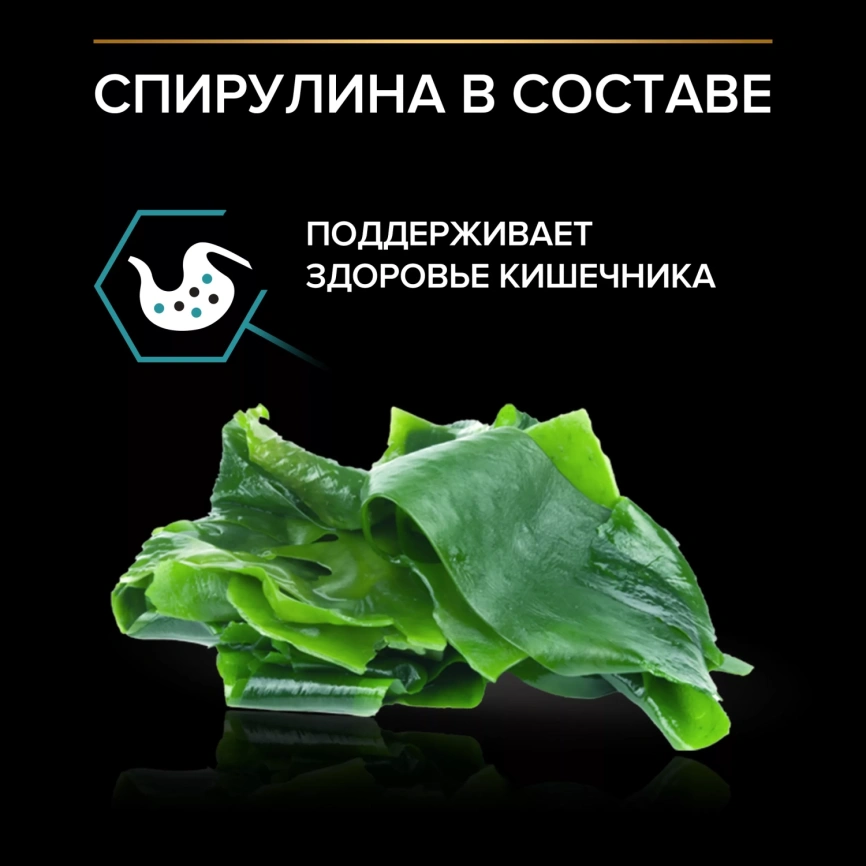 Сухой корм PRO PLAN Nature Elements Turkey для взрослых кошек с чувствительным пищеварением или особыми предпочтениями в еде, с высоким содержанием индейки, 1,4 кг фото 4