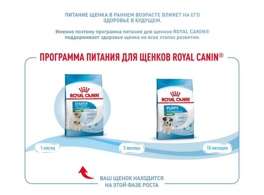 Сухой корм Royal Canin Mini Starter Mother & Babydog для щенков и кормящих сук, 3 кг фото 9