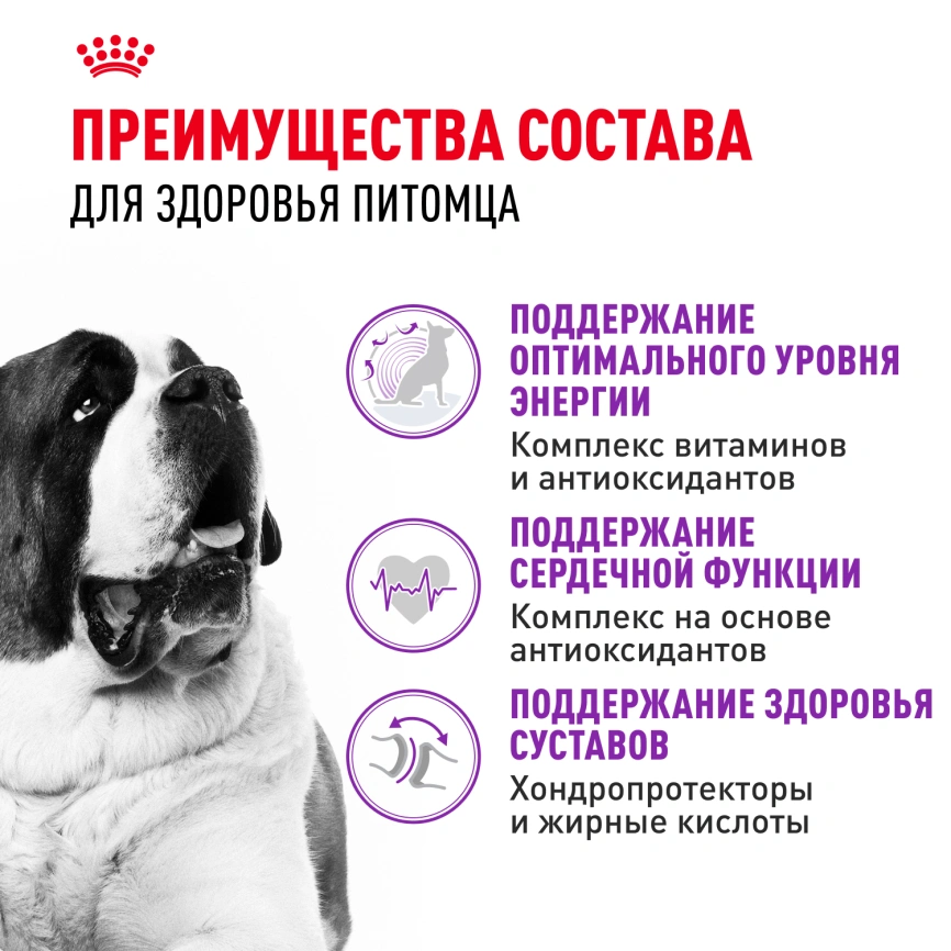 Сухой корм Royal Canin Giant Adult для собак, 15 кг фото 3