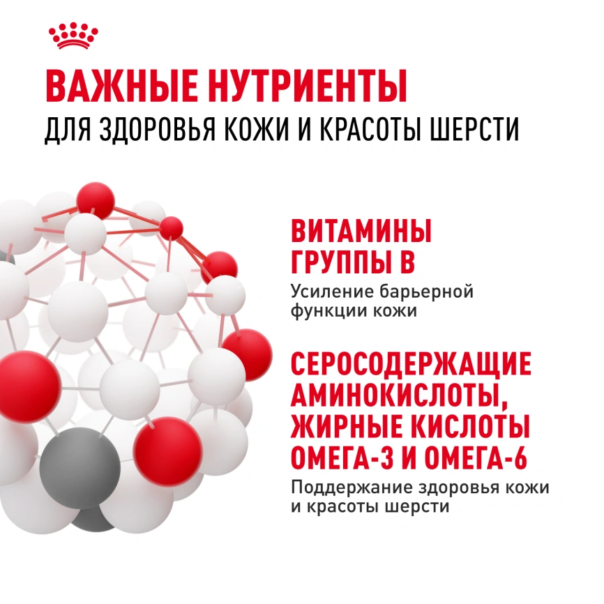 Сухой корм Royal Canin Hair & Skin Care для кошек, 2 кг фото 5