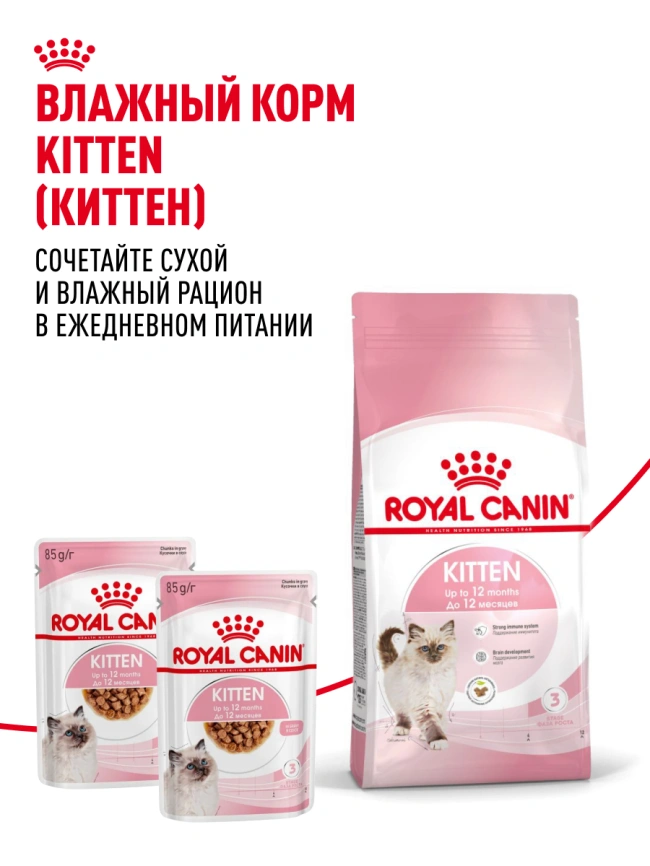 Сухой корм Royal Canin Kitten для котят, 1,2 кг фото 22