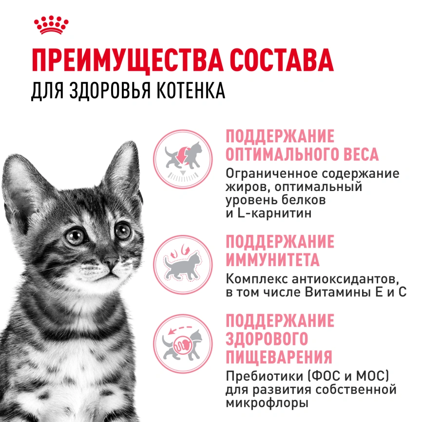 Сухой корм Royal Canin Kitten Sterilised для котят, 3,5 кг фото 3