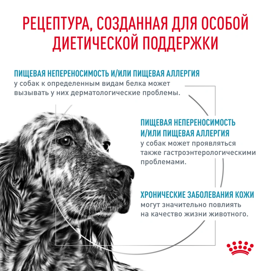 Сухой корм Royal Canin Hypoallergeniс для собак, 4 кг фото 3