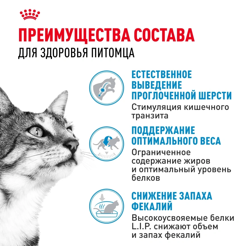 Сухой корм Royal Canin Indoor Long Hair для кошек, 2 кг фото 3