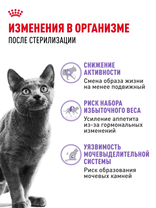 Сухой корм Royal Canin Sterilised для кастрированных котов и стерилизованных кошек, 10 кг фото 22