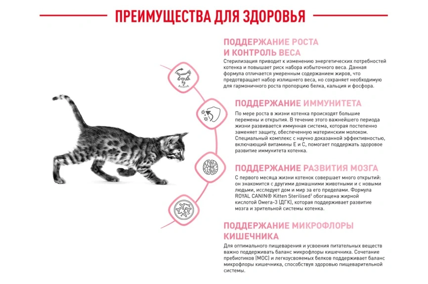 Сухой корм Royal Canin Kitten Sterilised для котят, 3,5 кг фото 18