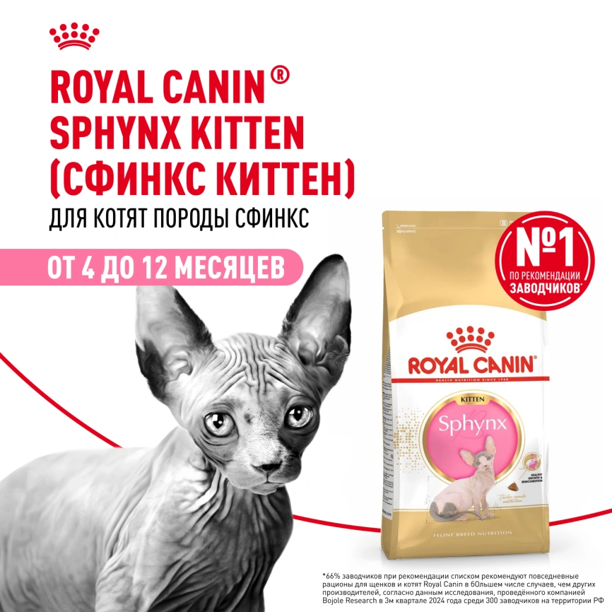 Сухой корм Royal Canin Sphynx Kitten для котят породы сфинкс до 12 месяцев, 400 г фото 14