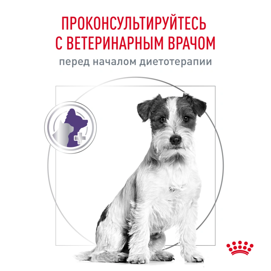 Сухой корм Royal Canin Neutered Adult Small Dogs для стерилизованных собак мелких пород, 3,5 кг фото 7