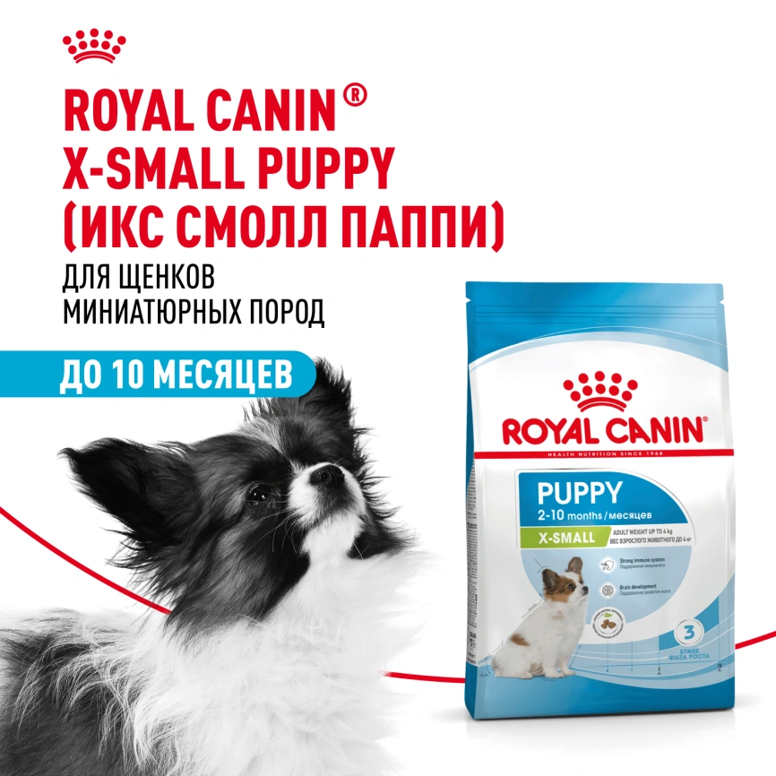 Сухой корм Royal Canin X-Small Puppy для щенков, 1,5 кг фото 15