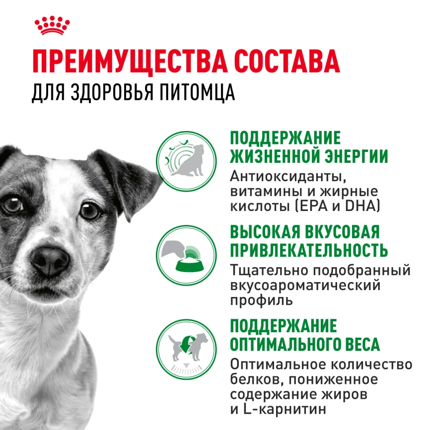 Сухой корм Royal Canin Mini Adult 8+ для пожилых собак, 4 кг фото 3