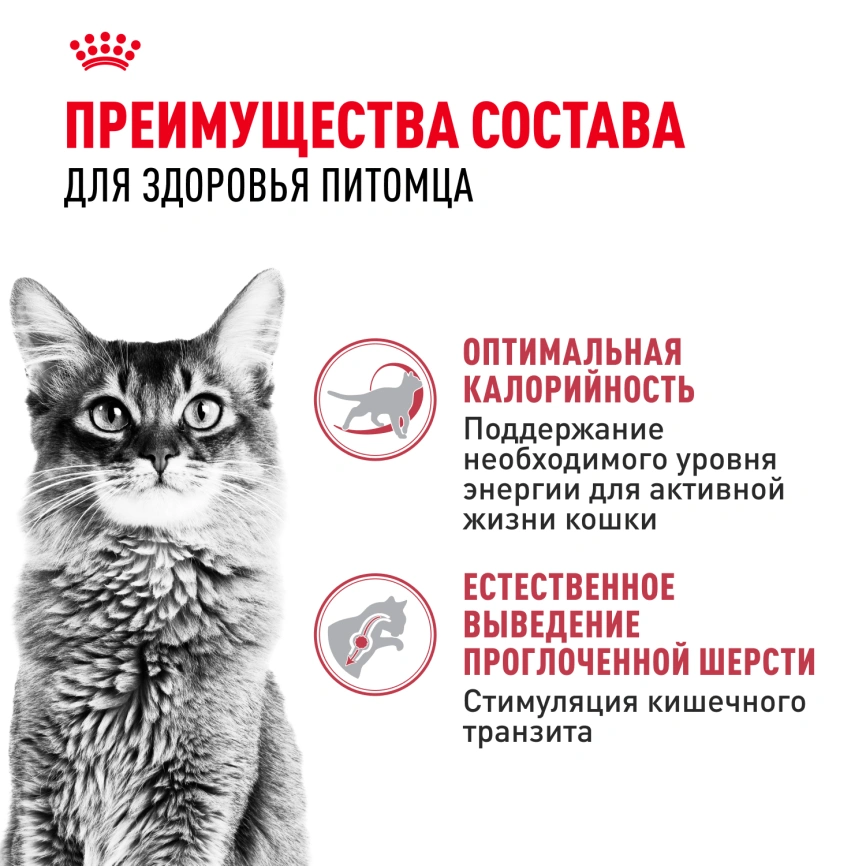 Сухой корм Royal Canin Fit для кошек, 4 кг фото 2