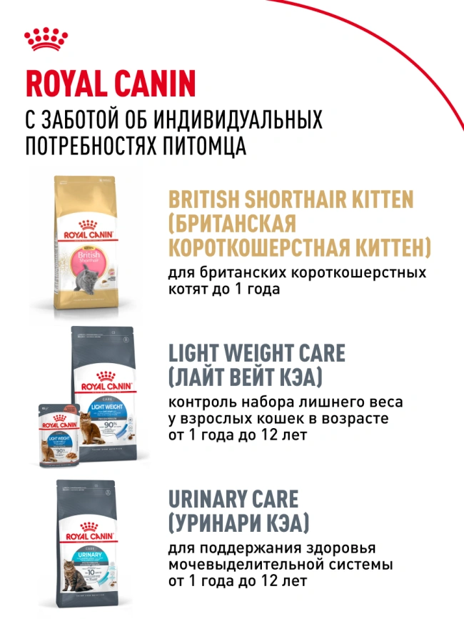 Сухой корм Royal Canin British Shorthair для кошек породы британская короткошерстная, 10 кг фото 29