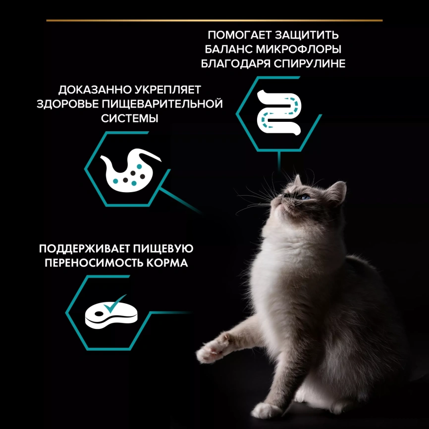 Сухой корм PRO PLAN Nature Elements Turkey для взрослых кошек с чувствительным пищеварением или особыми предпочтениями в еде, с высоким содержанием индейки, 1,4 кг фото 2