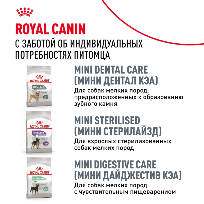 Сухой корм Royal Canin Dachshund Adult для собак породы такса, 7,5 кг фото 10