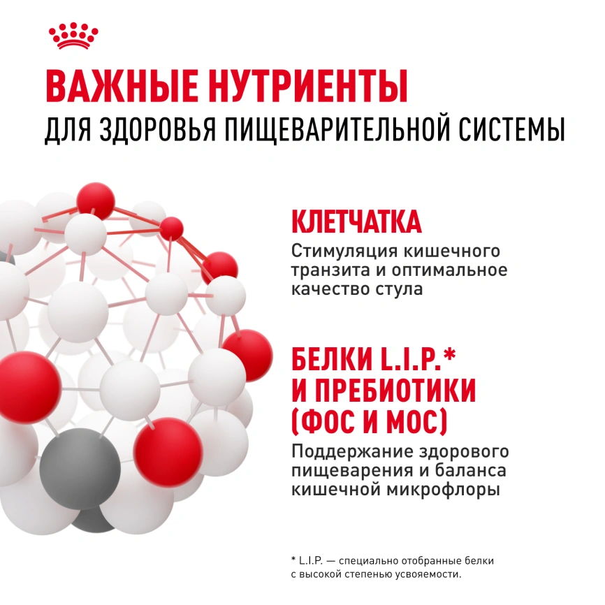 Сухой корм Royal Canin Maxi Digestive Care для собак, 12 кг фото 5