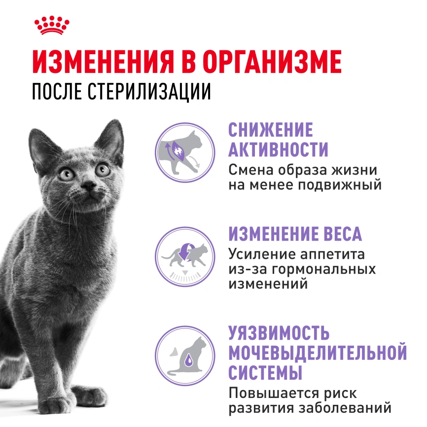 Сухой корм Royal Canin Sterilised для кастрированных котов и стерилизованных кошек, 10 кг фото 3