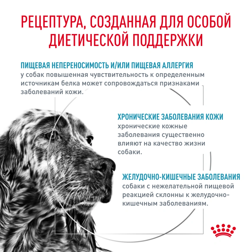 Диетический влажный корм Royal Canin Sensitivity Control для собак при пищевой аллергии или непереносимости, с уткой и рисом, паштет, банка, 410 г фото 3