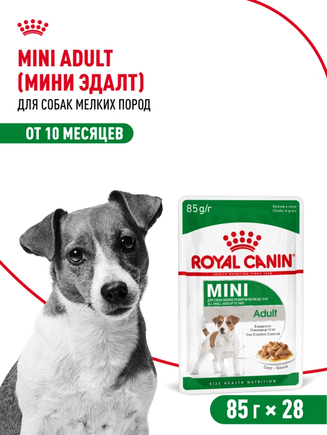 Влажный корм Royal Canin Mini Adult в соусе для взрослых собак мелких пород старше 10 месяцев, пауч, 85 г фото 23