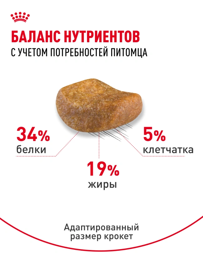 Сухой корм Royal Canin British Shorthair для кошек породы британская короткошерстная, 4 кг фото 22