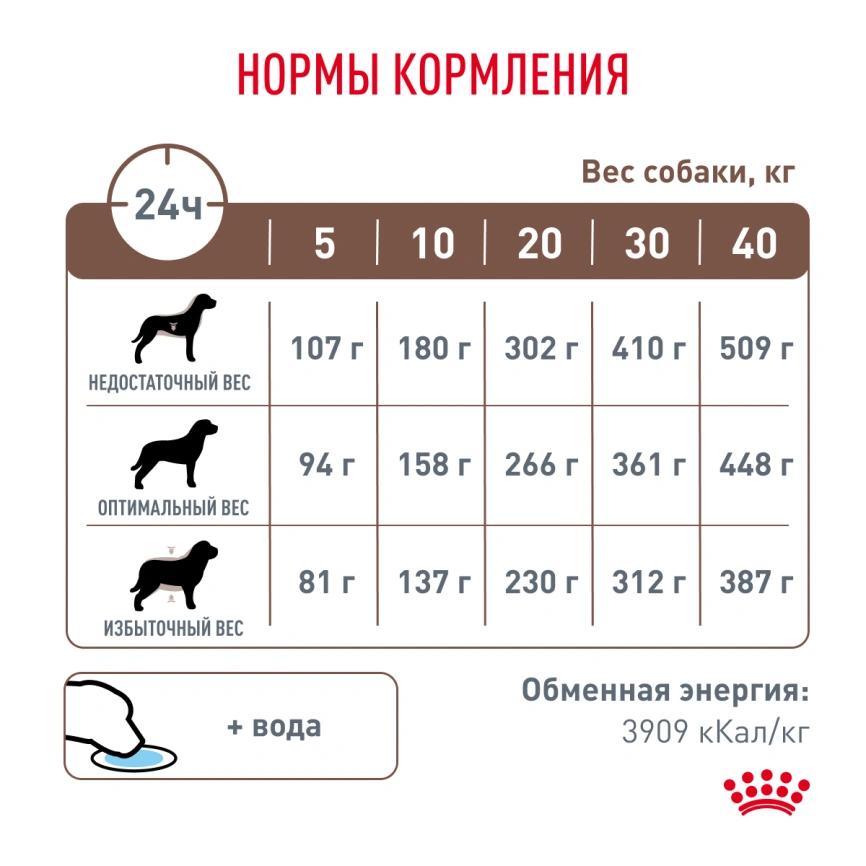 Сухой корм Royal Canin Hepatiс для собак, 6 кг фото 6
