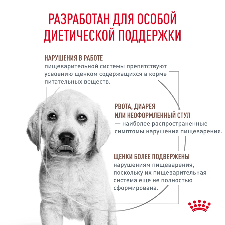 Сухой корм Royal Canin Labrador Retriever Puppy для щенков, 3 кг фото 3