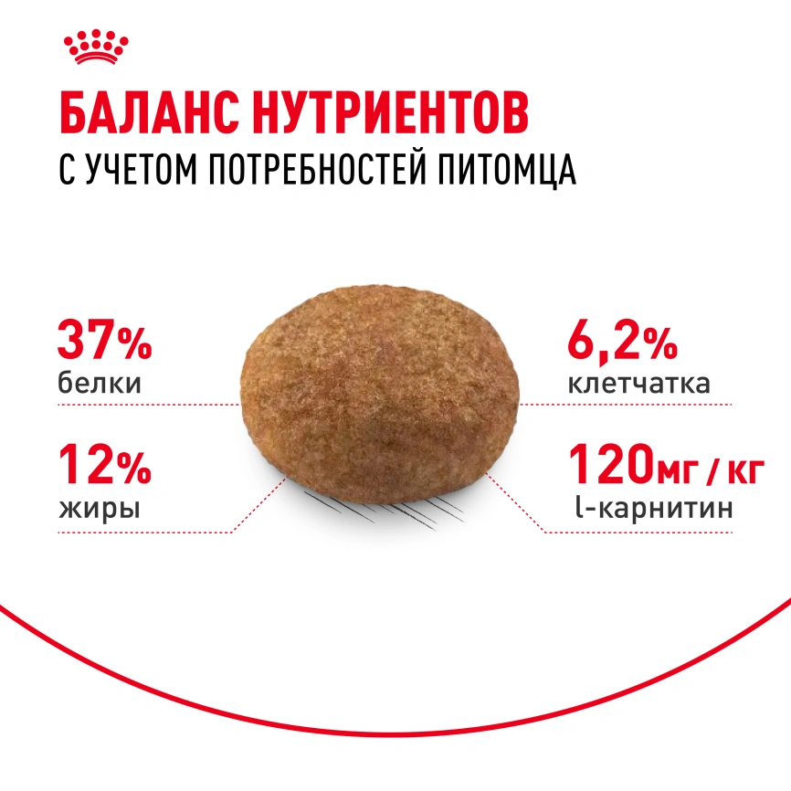 Сухой корм Royal Canin Sterilised для кастрированных котов и стерилизованных кошек, 10 кг фото 4
