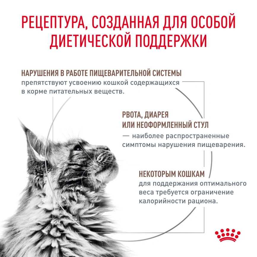 Сухой корм Royal Canin Gastrointestinal Moderate Calorie для кошек, 2 кг фото 3