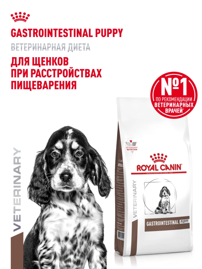 Сухой корм Royal Canin French Bulldog Puppy для щенков, 3 кг фото 14