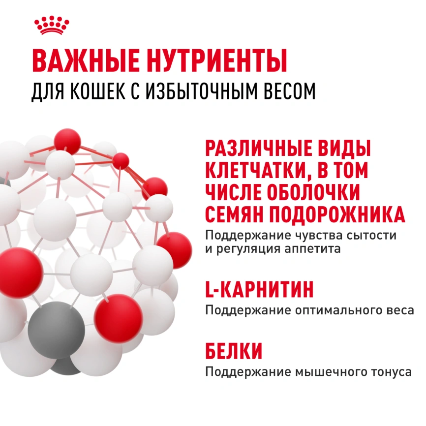 Сухой корм Royal Canin Light Weight Care для кошек, 8 кг фото 5