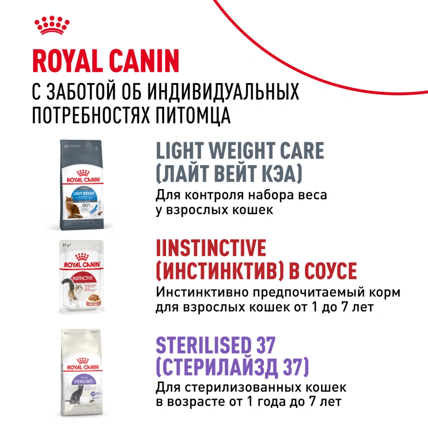 Влажный корм Royal Canin Indoor паштет для кошек, живущих в помещении, пауч, 85 г фото 10