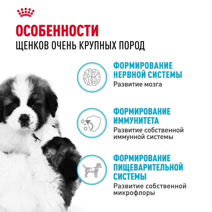 Сухой корм Royal Canin Giant Puppy для щенков, 3,5 кг фото 2