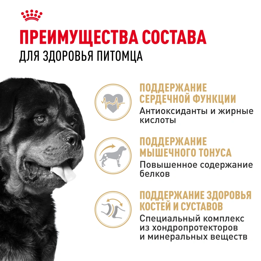 Сухой корм Royal Canin Bulldog Adult для собак породы английский бульдог, 12 кг фото 3