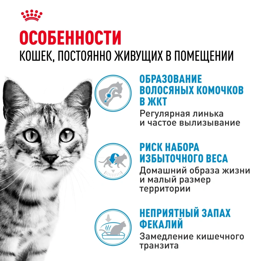 Сухой корм Royal Canin Indoor Long Hair для кошек, 400 г фото 2