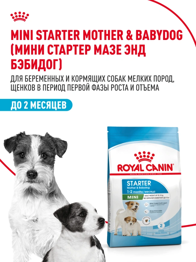 Сухой корм Royal Canin Mini Starter Mother & Babydog для щенков и кормящих сук, 3 кг фото 14