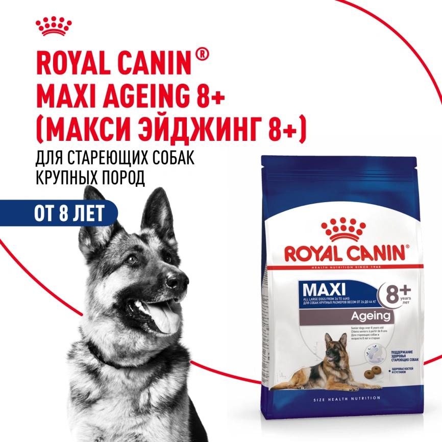 Сухой корм Royal Canin Maxi Ageing 8+ для собак, 3 кг фото 12
