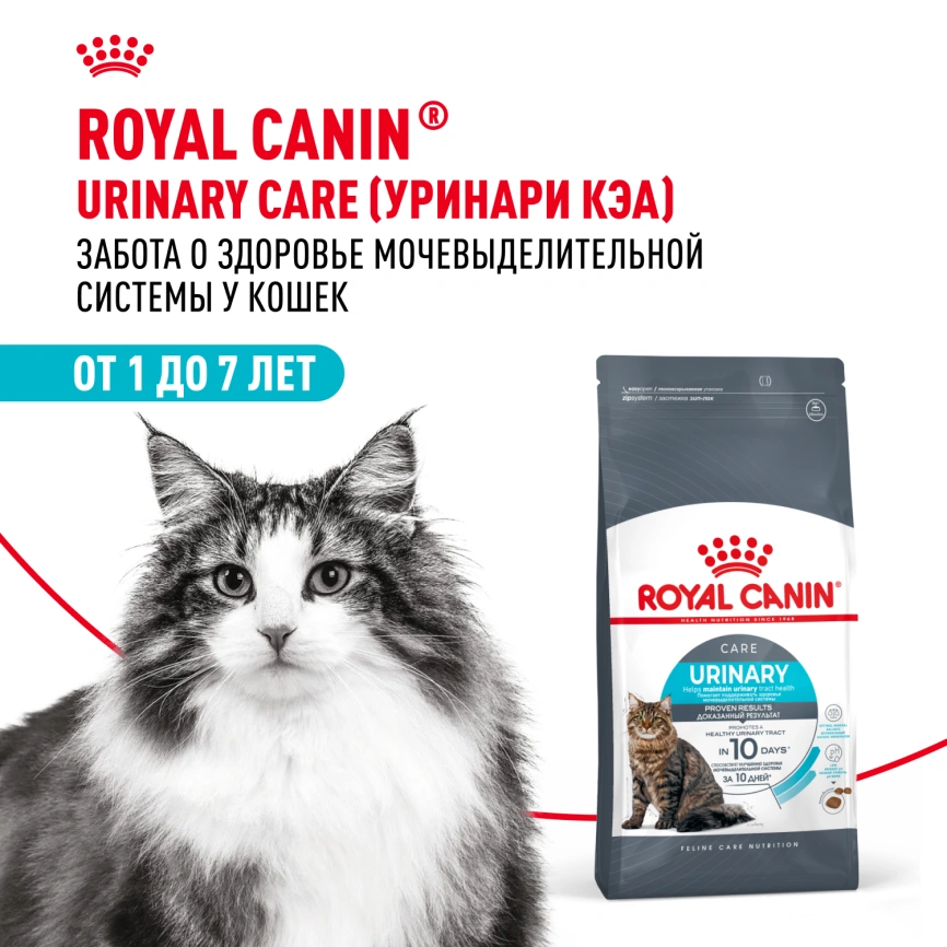 Сухой корм Royal Canin Urinary Care для поддержания здоровья мочевыделительной системы кошек, 4 кг фото 23