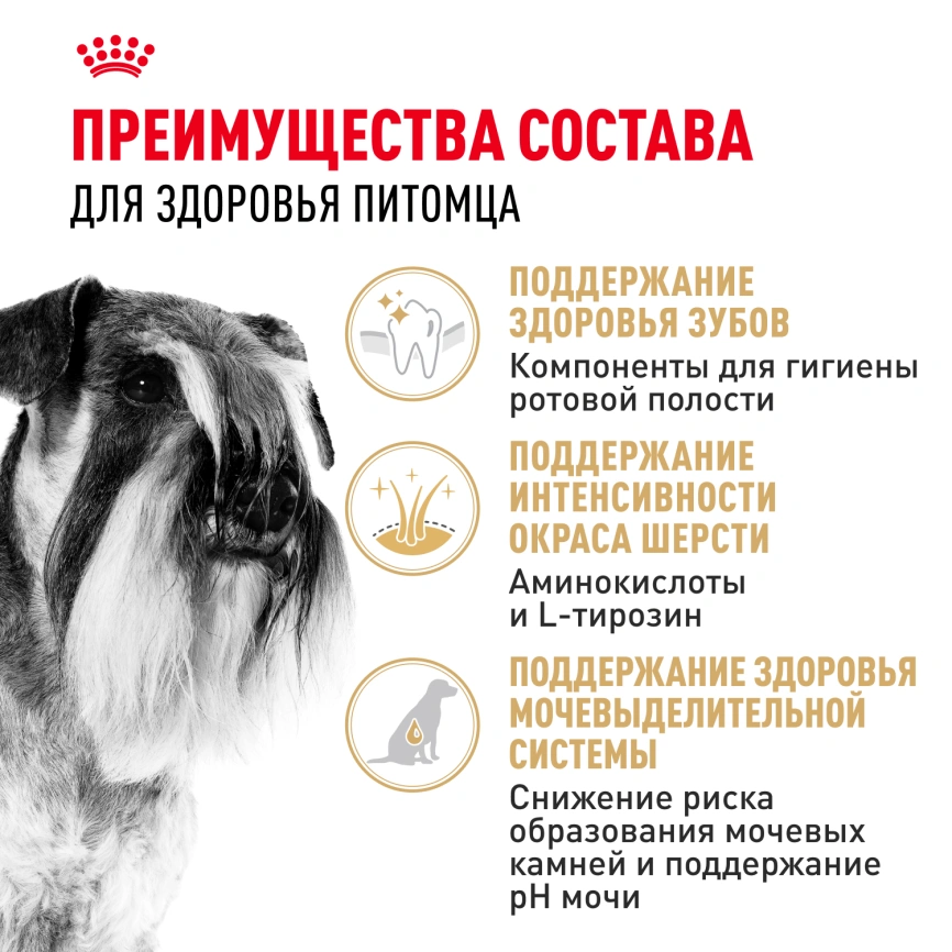 Сухой корм Royal Canin Miniature Schnauzer Adult для собак породы миниатюрный шнауцер, 7,5 кг фото 3