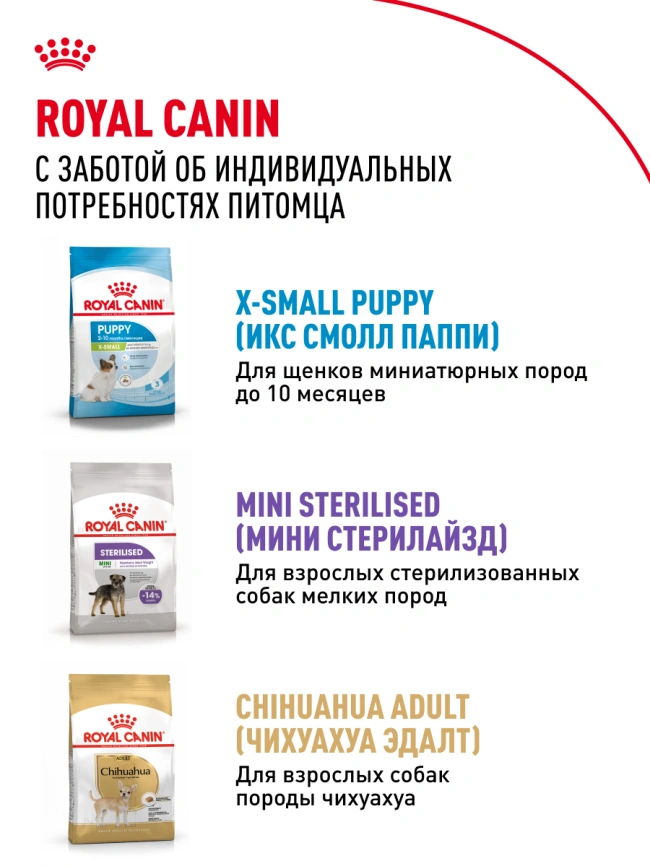 Сухой корм Royal Canin X-Small Adult для собак, 500 г фото 11