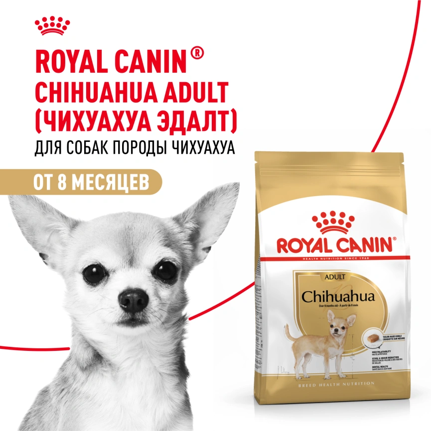 Сухой корм Royal Canin Cocker Adult для собак породы кокер-спаниель, 3 кг фото 15