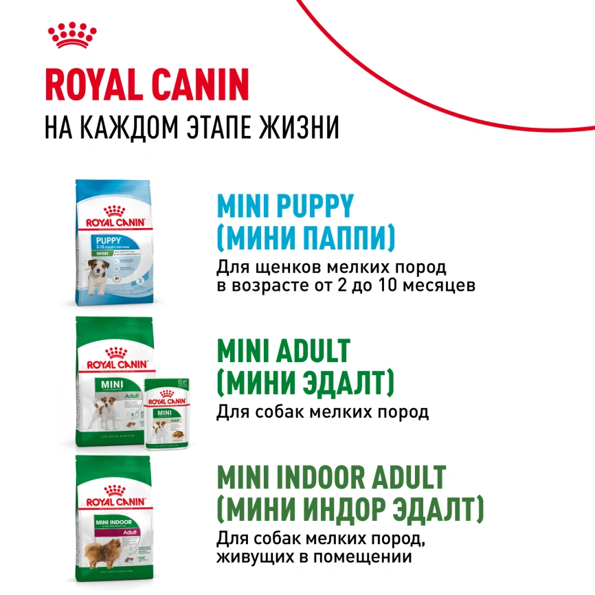 Сухой корм Royal Canin Mini Starter Mother & Babydog для щенков и кормящих сук, 3 кг фото 11
