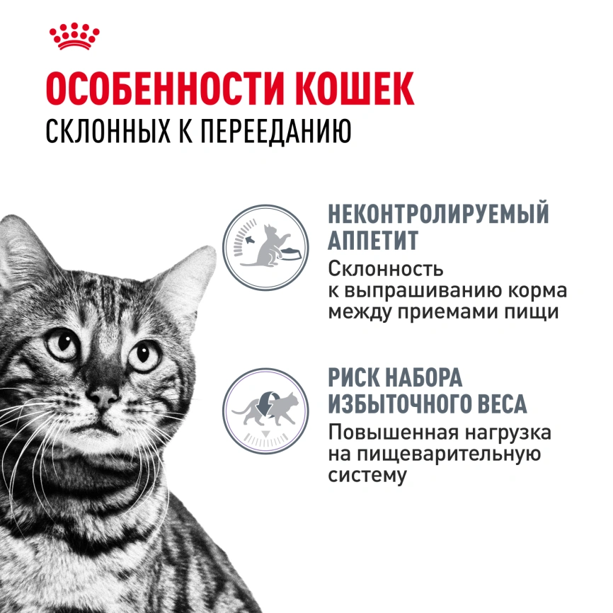 Сухой корм Royal Canin Appetite Control Care для кошек для контроля аппетита, 400 г фото 2