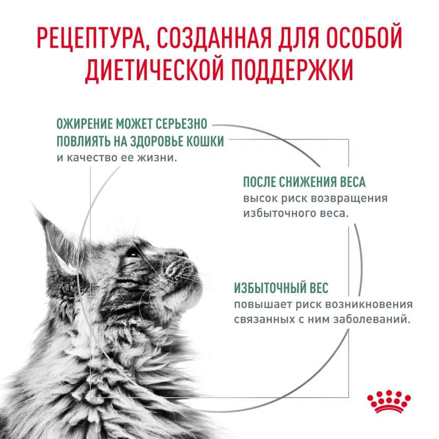 Сухой корм Royal Canin Satiety Weight Management для кошек для снижение веса, 350 г фото 2