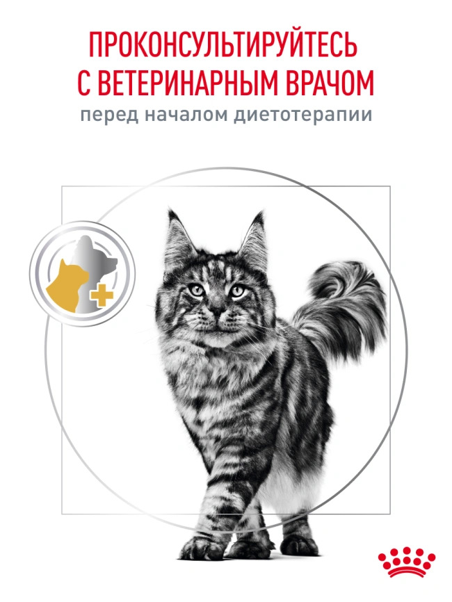 Сухой корм Royal Canin Urinary S/O для кошек при мочекаменной болезни, 1,5 кг фото 19