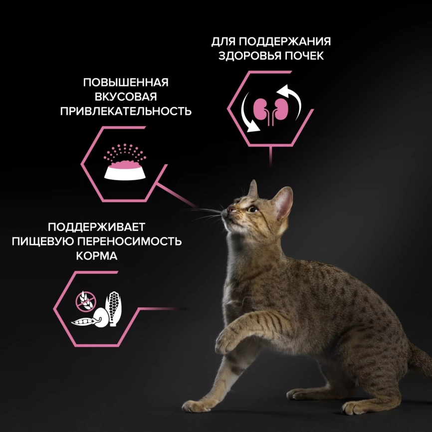 Сухой корм PRO PLAN Lamb для взрослых кошек с чувствительным пищеварением или особыми предпочтениями в еде, с высоким содержанием ягненка, 1,5 кг фото 3